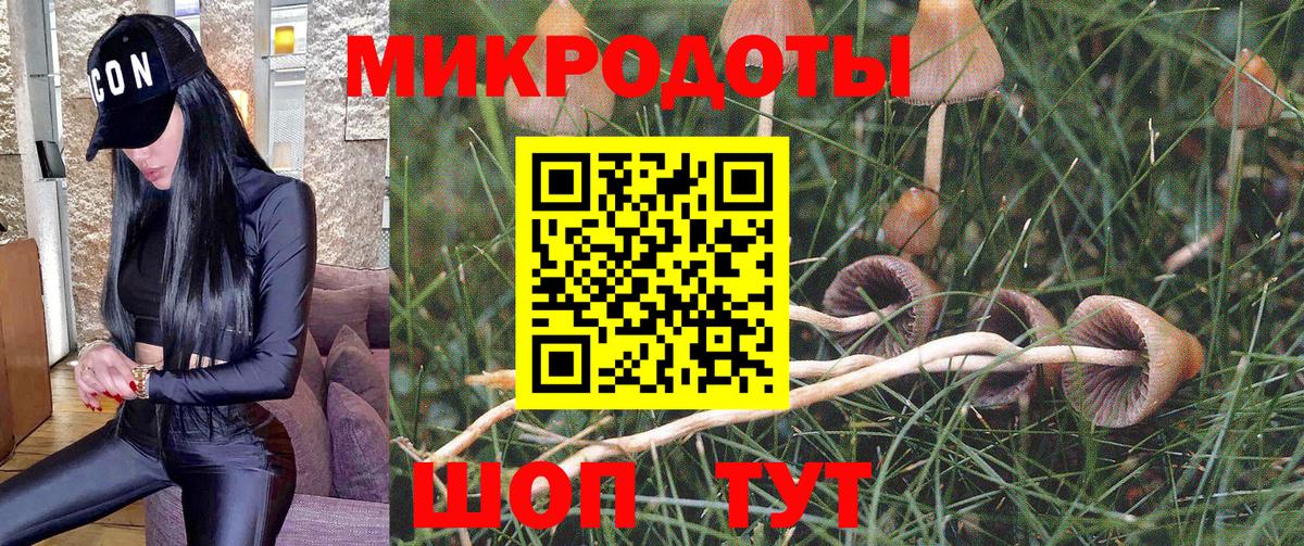 Галлюциногенные грибы мухоморы  Вход с VPN  Чернушка 